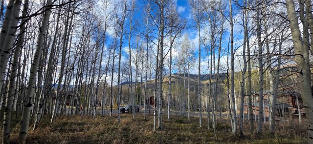 Land in Eagles Nest Golf Course Sub, Silverthorne, CO — photo 3 (MLS S1068373)