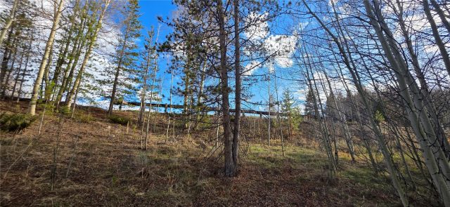 Land in Eagles Nest Golf Course Sub, Silverthorne, CO — photo 4 (MLS S1068373)