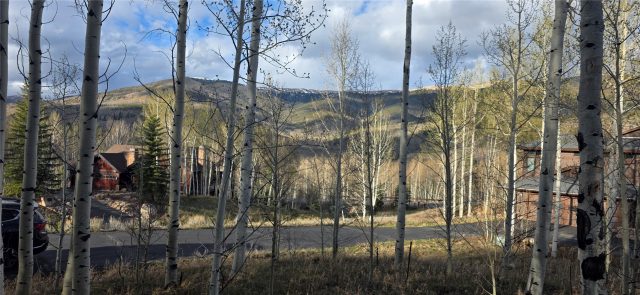 Land in Eagles Nest Golf Course Sub, Silverthorne, CO — photo 5 (MLS S1068373)