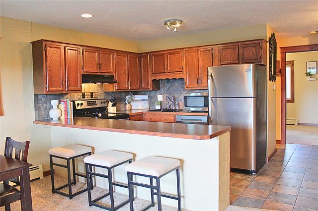 Condo in Dillon Valley East Condo, Dillon, CO — photo 3 (MLS S1068394)