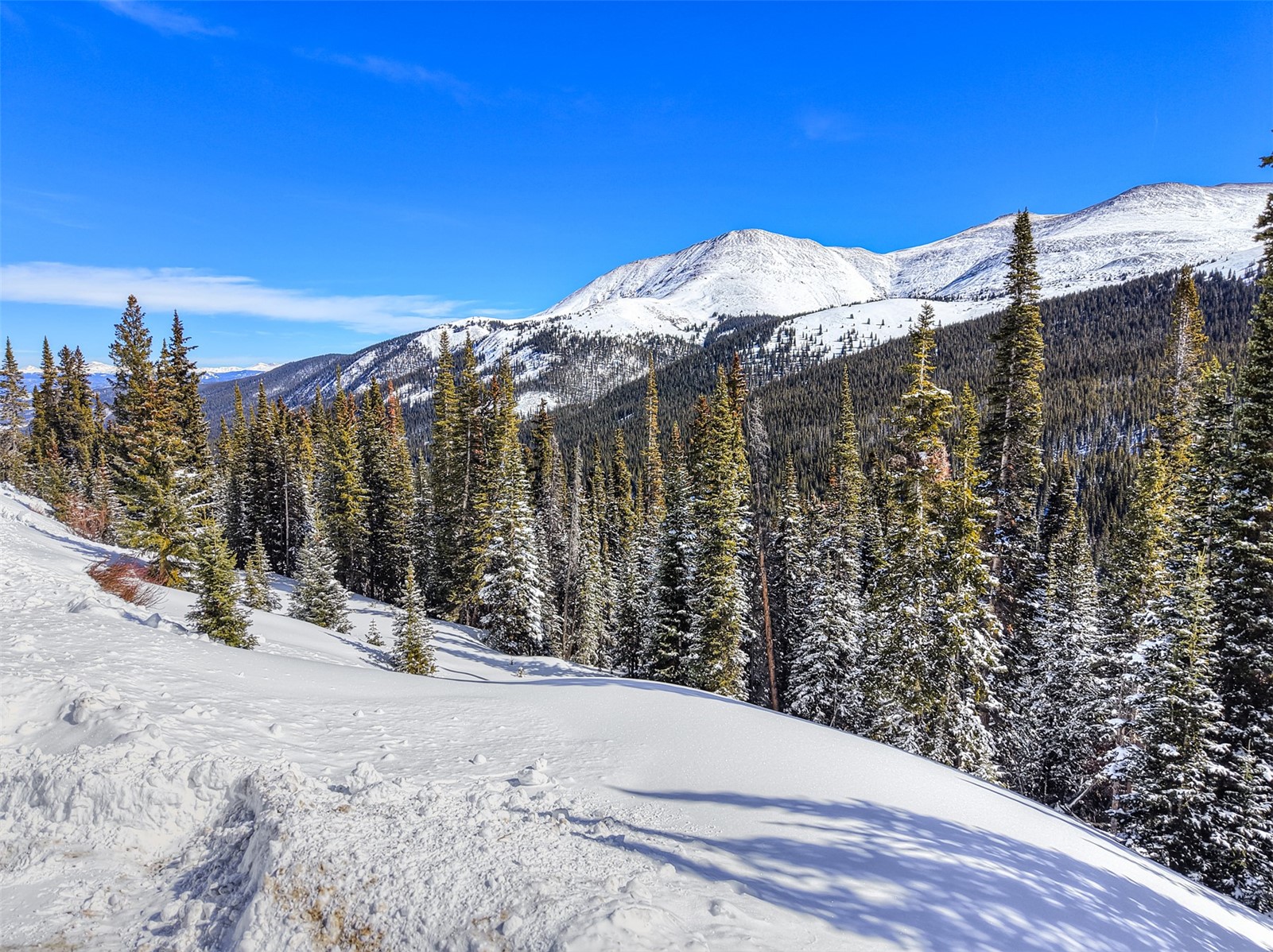 484 Carroll Lane, Breckenridge, CO — main photo