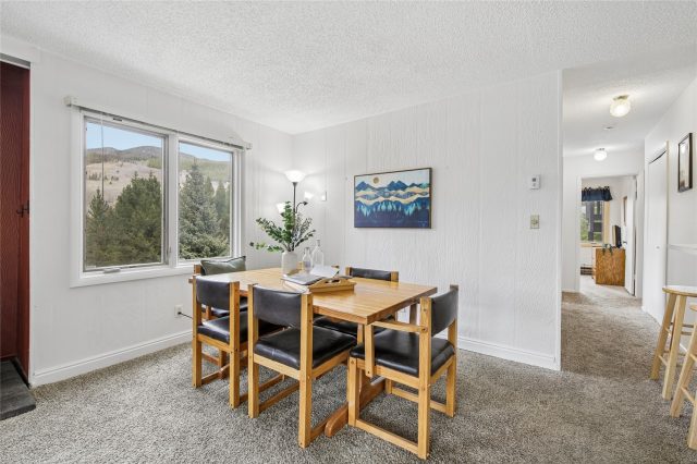Condo in Key Condo, Keystone — photo 5 Condo in Key Condo, Keystone, CO — photo 5 (MLS S1068487)