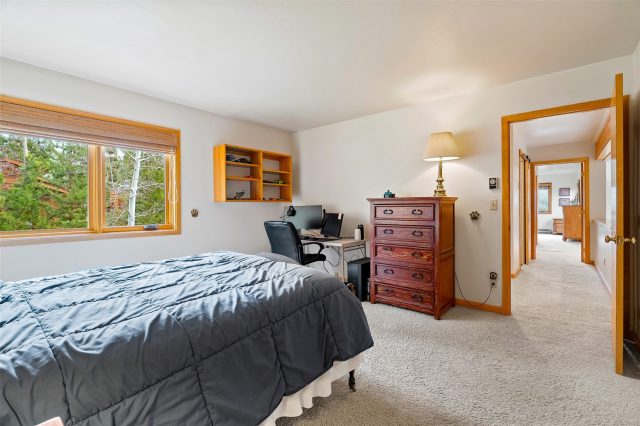 126 Snowberry Way photo 24