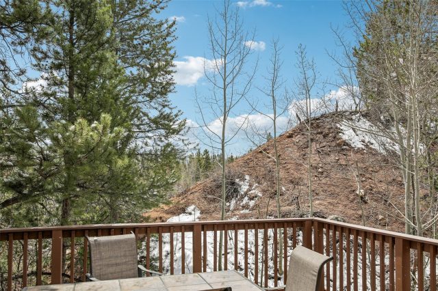 57 Salt Lick Place 57 photo 21