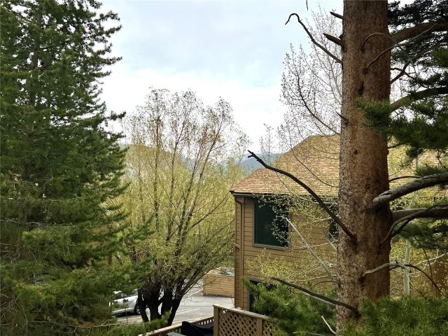 6722 Ryan Gulch Road 6722 photo 20