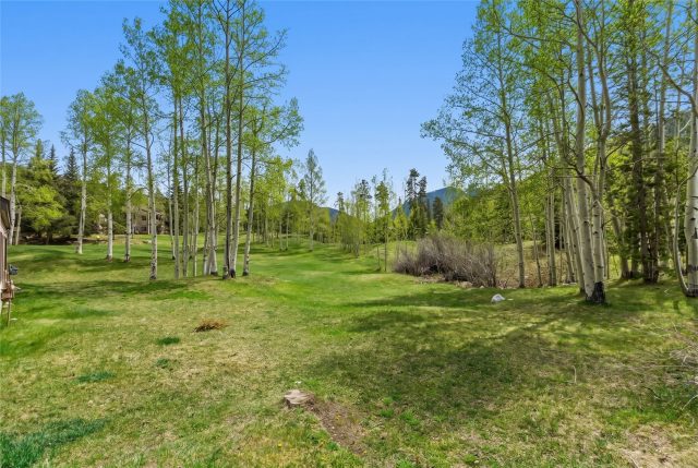 30 Tennis Club Road 1608 photo 25