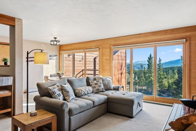 Timeshare in Timber Ridge Condo, Silverthorne, CO — photo 1 (MLS S1068526)