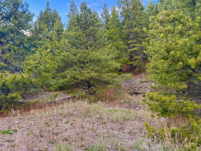 481 Giberson Road photo 10