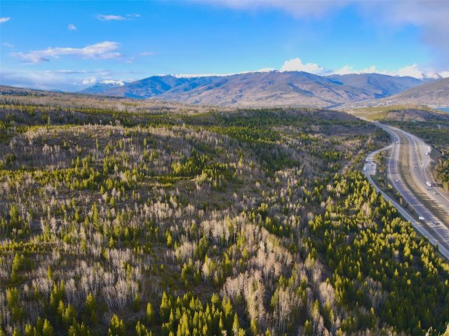 Residential in Giberson Preserve Pud, Frisco, CO — photo 2 (MLS S1068538)