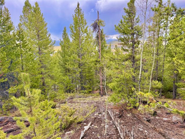 Residential in Giberson Preserve Pud, Frisco, CO — photo 3 (MLS S1068538)