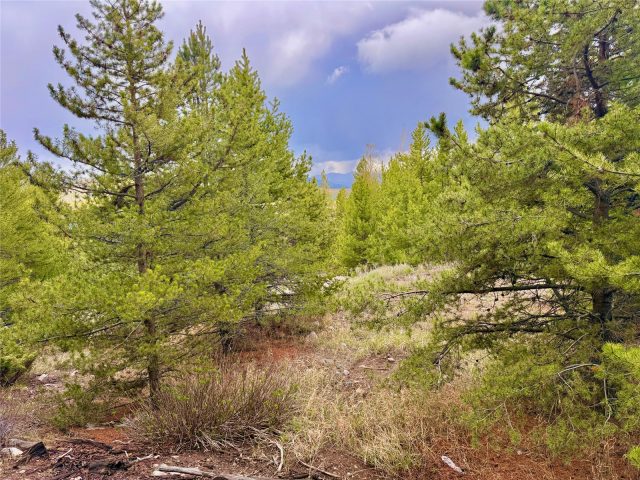 Residential in Giberson Preserve Pud, Frisco, CO — photo 6 (MLS S1068538)