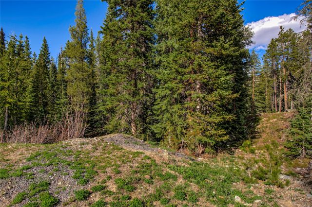 Land in Loma Verde Sub, Breckenridge — photo 1 Land in Loma Verde Sub, Breckenridge, CO — photo 1 (MLS S1068592)