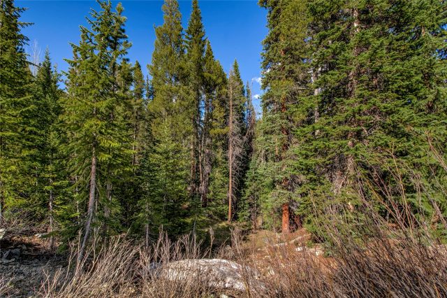Land in Loma Verde Sub, Breckenridge — photo 5 Land in Loma Verde Sub, Breckenridge, CO — photo 5 (MLS S1068592)