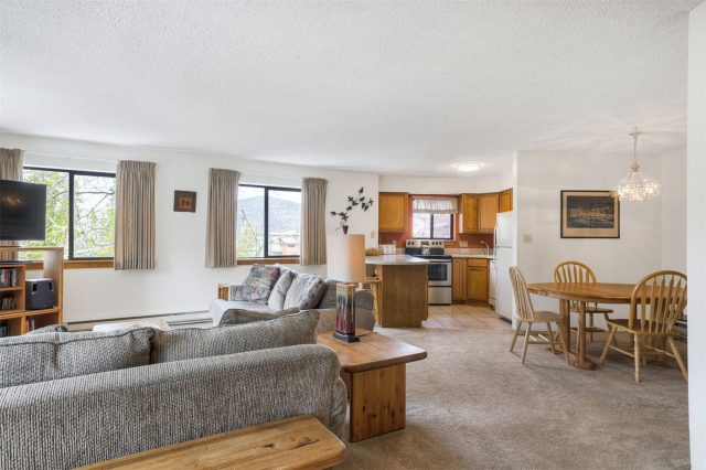 Condo in Pine Ridge Condo, Breckenridge, CO — photo 6 (MLS S1068602)