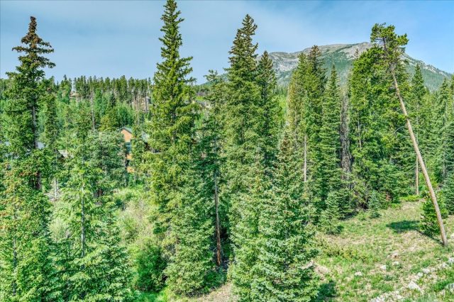 91399 Ryan Gulch Road B6 photo 44