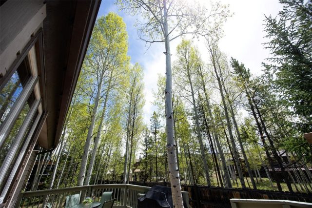 18 Hawn Drive photo 18