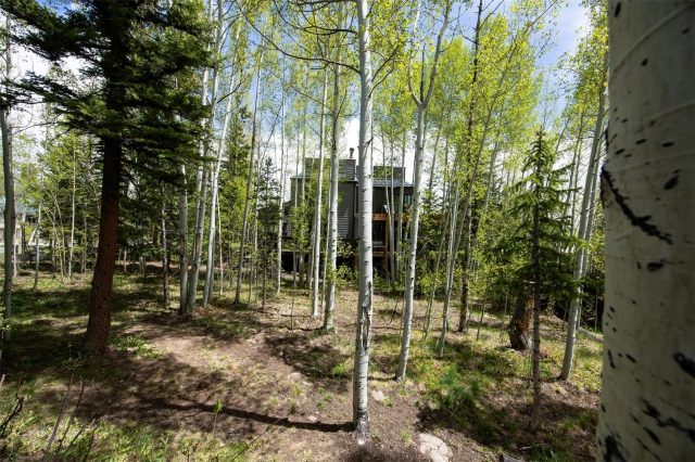 Duplex in Meadow Creek Sub, Frisco, CO — photo 4 (MLS S1068627)