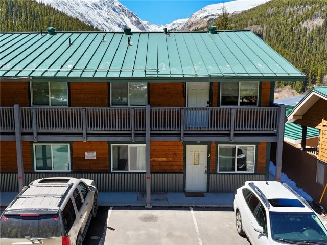 Condo in Quandary Breckenridge Condo, Breckenridge, CO — photo 1 (MLS S1068632)