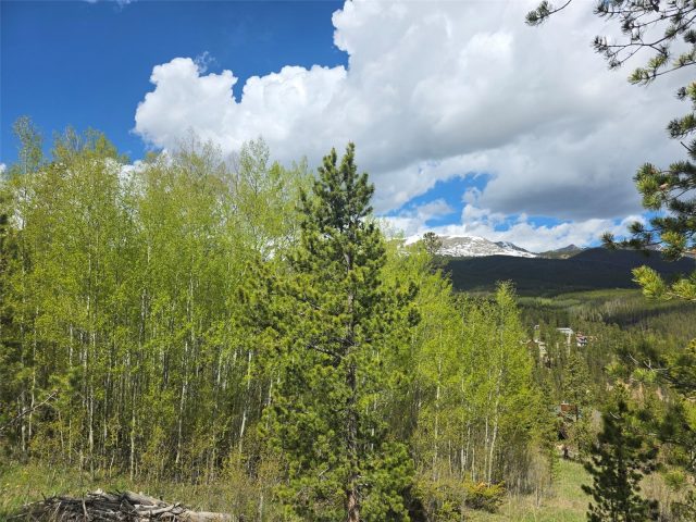 Land in Shadows North Amended Sub, Breckenridge, CO — photo 1 (MLS S1068641)