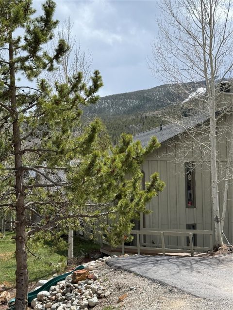 Duplex in Frisco Town Sub, Frisco, CO — photo 3 (MLS S1068650)