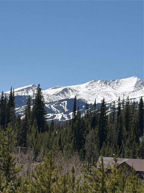 465 Gateway Drive photo 19