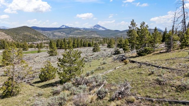 Agriculture in Gold Hill Sub, Breckenridge, CO — photo 3 (MLS S1068713)