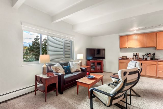 Condo in Lake View Condo, Dillon, CO — photo 6 (MLS S1068723)