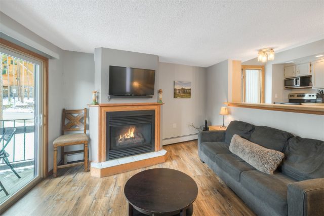 Condo in Gold Camp Condo Ii, Breckenridge, CO — photo 3 (MLS S1068740)