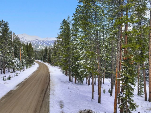 Land in Breckenridge Park Estates Sub #1, Breckenridge, CO — photo 1 (MLS S1068766)