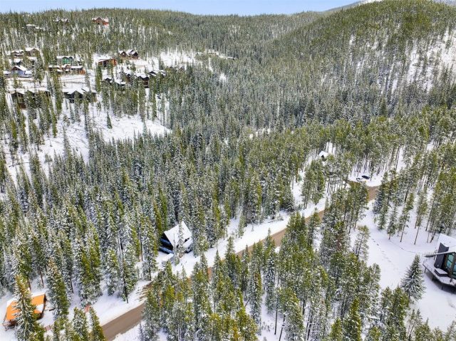 Land in Breckenridge Park Estates Sub #1, Breckenridge, CO — photo 3 (MLS S1068766)