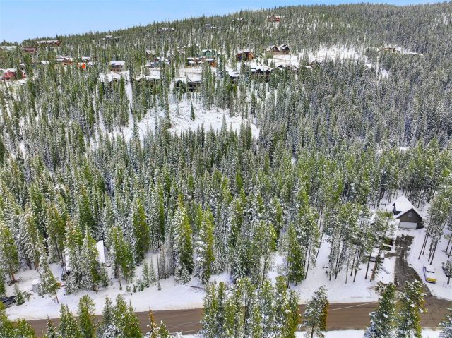 Land in Breckenridge Park Estates Sub #1, Breckenridge, CO — photo 5 (MLS S1068766)