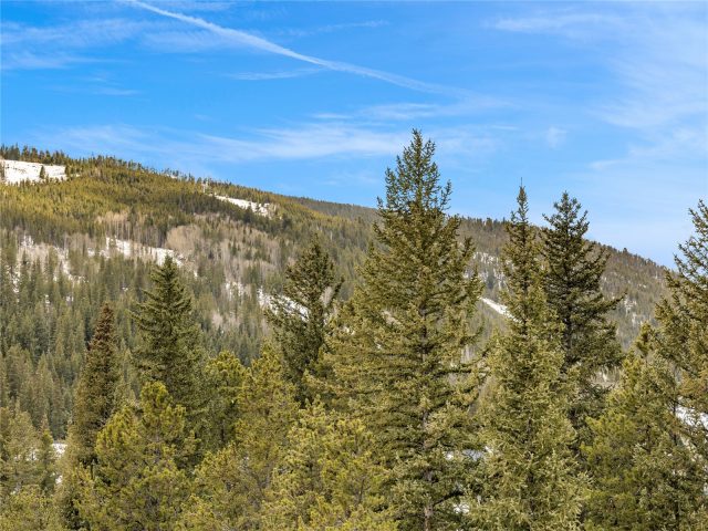 Condo in Kindred Residences, Keystone, CO — photo 5 (MLS S1068782)