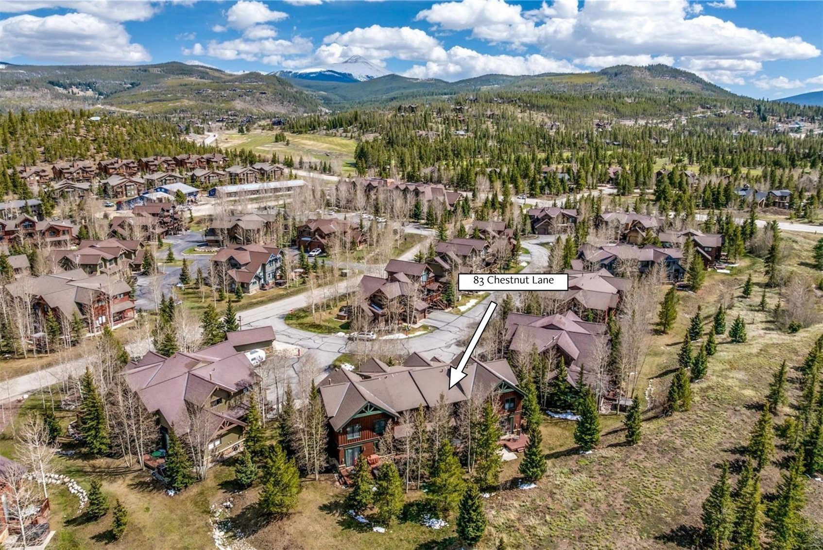 83 Chestnut Lane 83, Breckenridge, CO — main photo