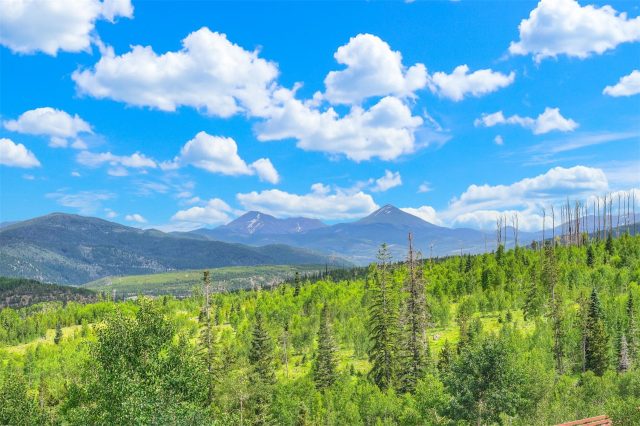 7031 Ryan Gulch Road 301 photo 29