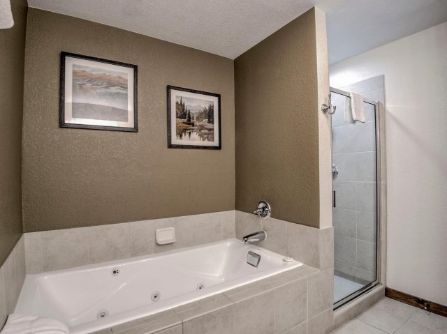 505 S Main Street 3304 photo 28