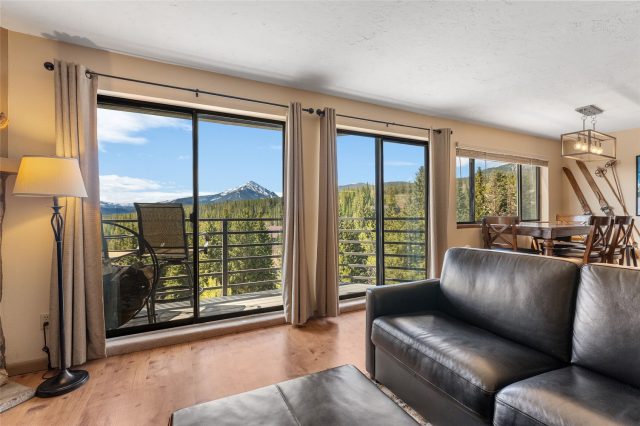 Condo in Buffalo Ridge Condo, Silverthorne, CO — photo 3 (MLS S1068831)