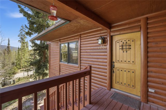 Duplex in Wildernest Sub, Wildernest, CO — photo 2 (MLS S1068839)
