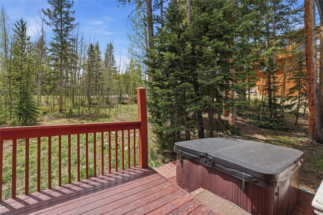 Duplex in Wildernest Sub, Wildernest, CO — photo 5 (MLS S1068839)