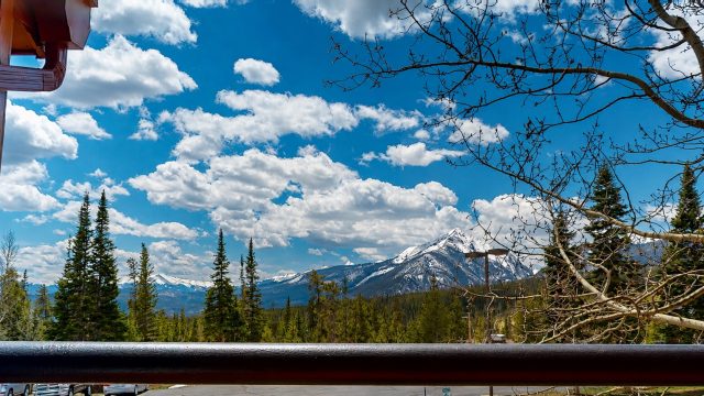 Condo in Timber Ridge Condo, Silverthorne, CO — photo 2 (MLS S1068845)