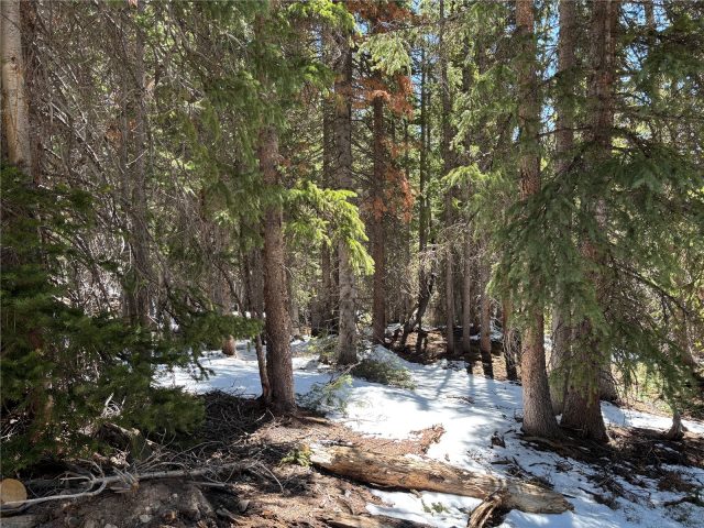 192 Kimmes Lane photo 15