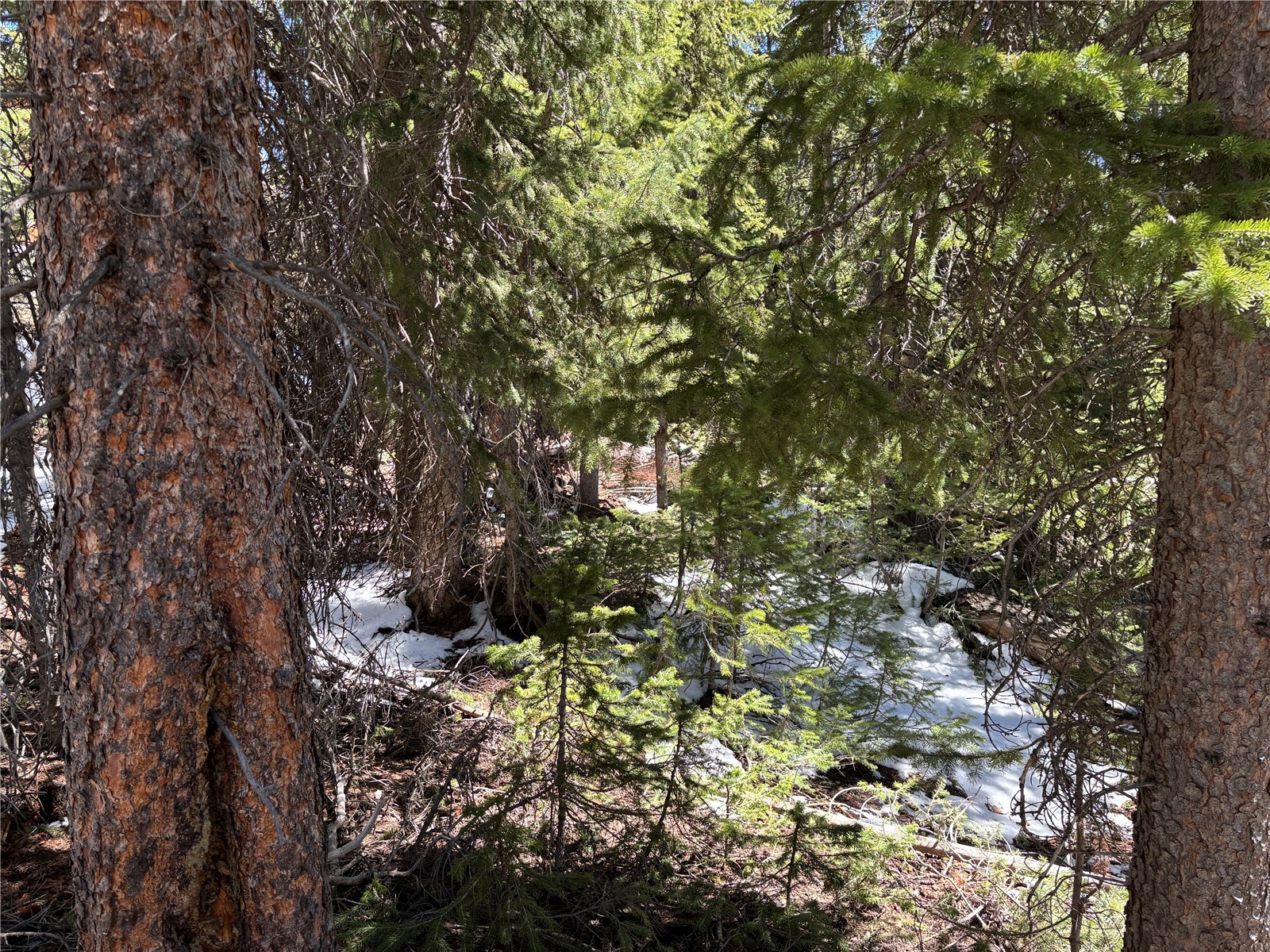 192 Kimmes Lane, Breckenridge, CO — main photo