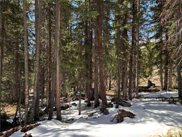 Land in Quandary Village Sub Aka Northstar Village, Breckenridge, CO — photo 4 (MLS S1068847)