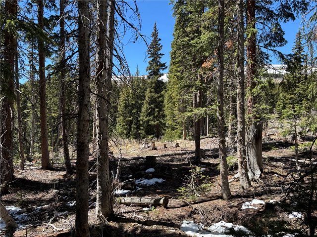 Land in Quandary Village Sub Aka Northstar Village, Breckenridge, CO — photo 5 (MLS S1068847)