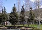 1283 Straight Creek Drive 205 photo 47