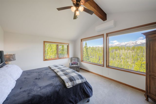 2542 Boreas Pass Road photo 17