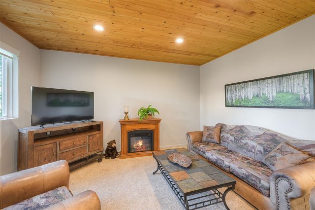 2542 Boreas Pass Road photo 26
