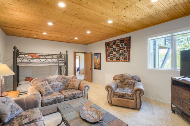 2542 Boreas Pass Road photo 27