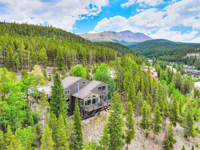 2542 Boreas Pass Road photo 31