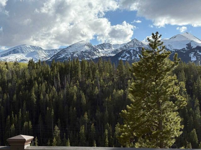 2542 Boreas Pass Road photo 35