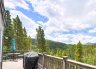 2542 Boreas Pass Road photo 35 2542 Boreas Pass Road photo 35